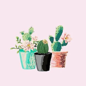 Meet your Posher, Mariam